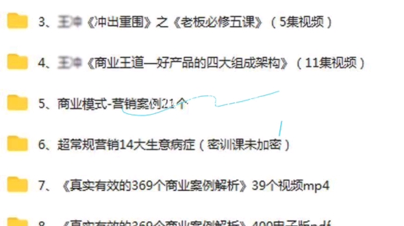 王冲2023破局智慧商业模式盈利模式团队管理流量视频课程全集商用哔哩哔哩bilibili