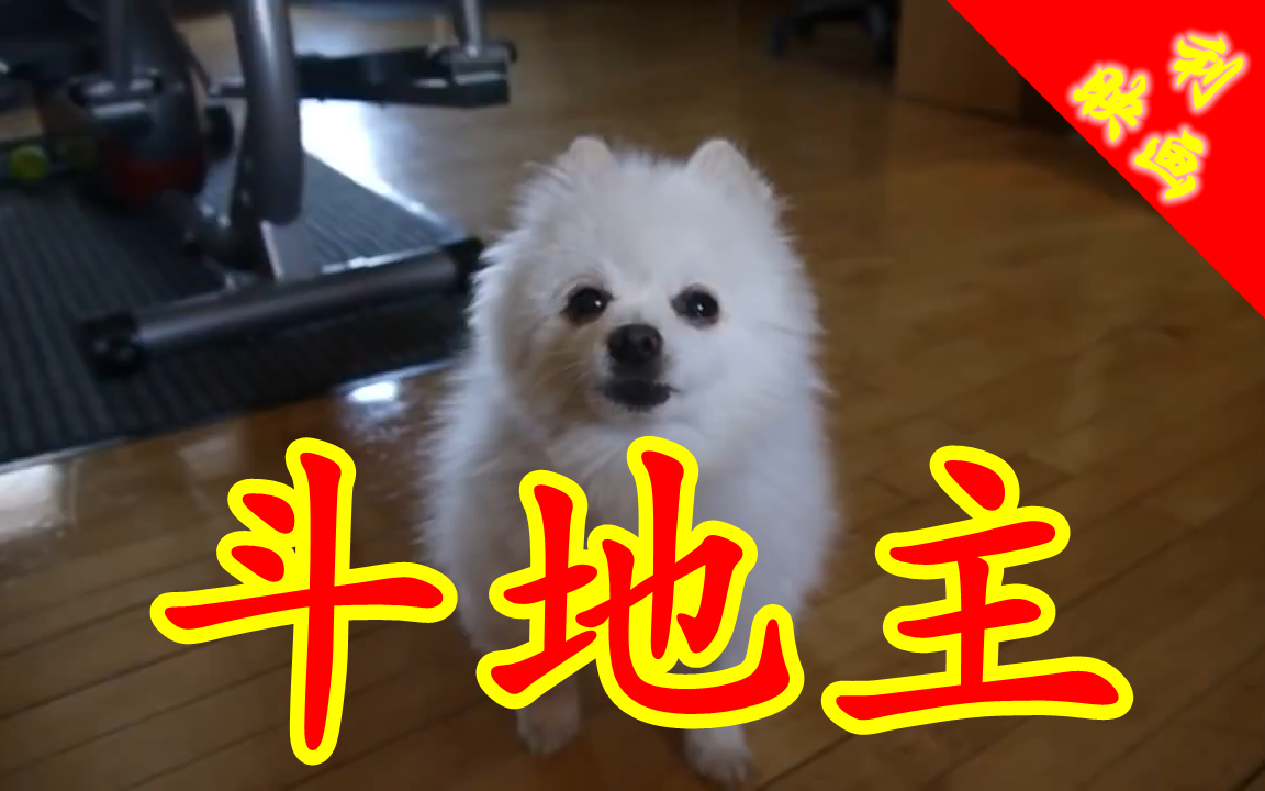 【音MAD】斗地主BGM四首哔哩哔哩bilibili