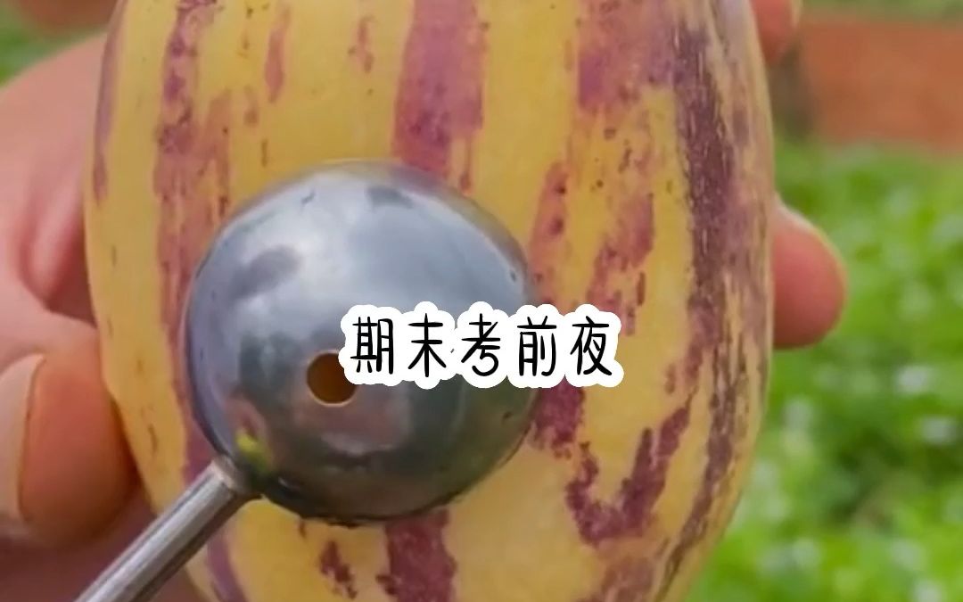 《自缚玫瑰》各种反转各种虐.小说推荐.后续知乎.哔哩哔哩bilibili