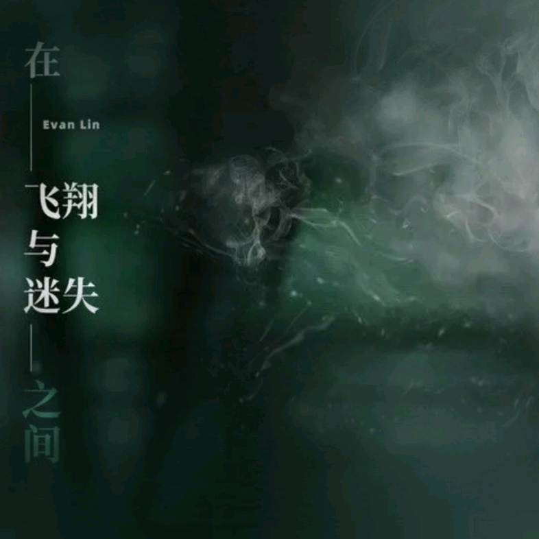 [图]【在飞翔与迷失之间（Lost）】全网女声版首翻？林彦俊歌手好久不见/实实在在感同身受