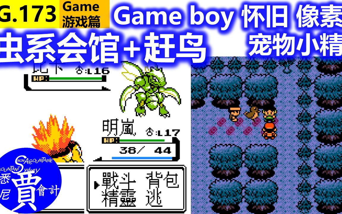 飞天螳螂 虫系会馆 赶鸟 宠物小精灵 口袋妖怪 银版 gameboy 怀旧像素