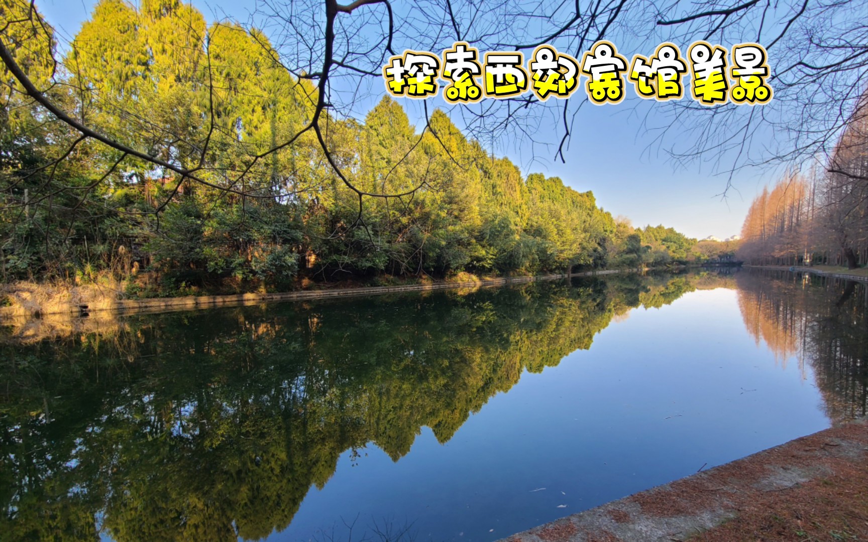 西郊宾馆入住体验DAY2宾馆花园全景,西郊公园一日游哔哩哔哩bilibili