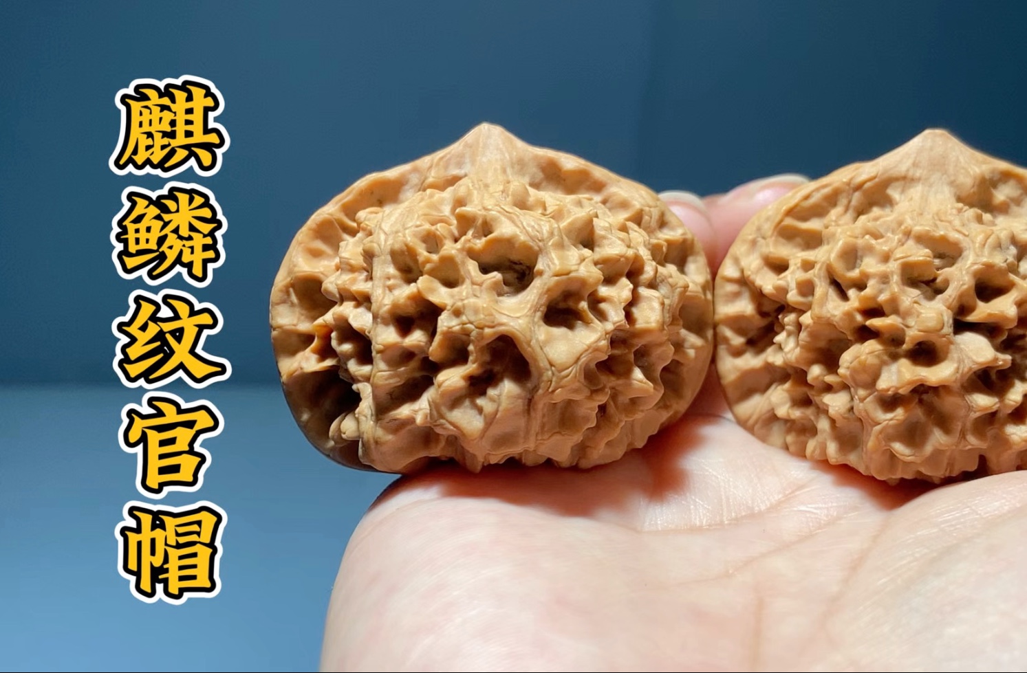 上色快,走色稳.编号ht518#文玩核桃 #官帽