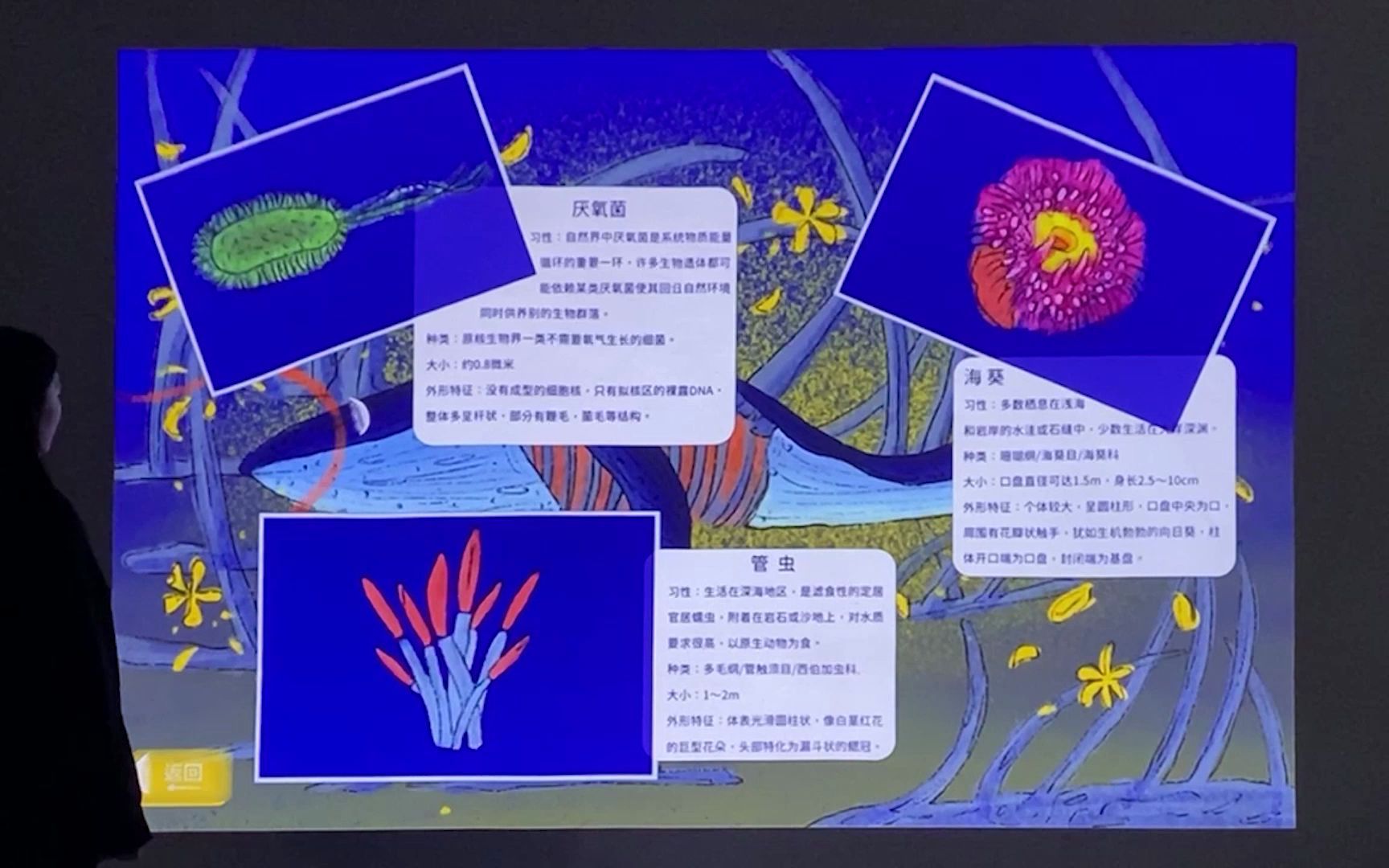 【信息可视化互动影像装置设计】《鲸落》  河南工程学院数字媒体艺术系2022年毕业设计哔哩哔哩bilibili