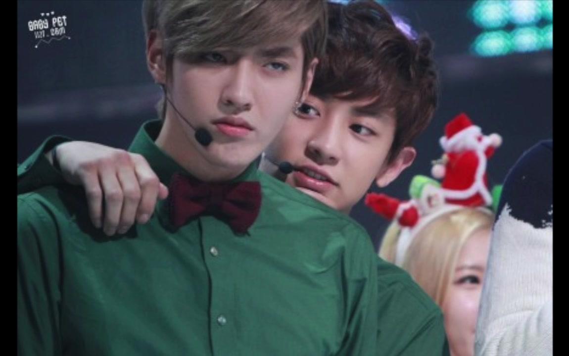 【牛灿】wilngwilng_哔哩哔哩_bilibili