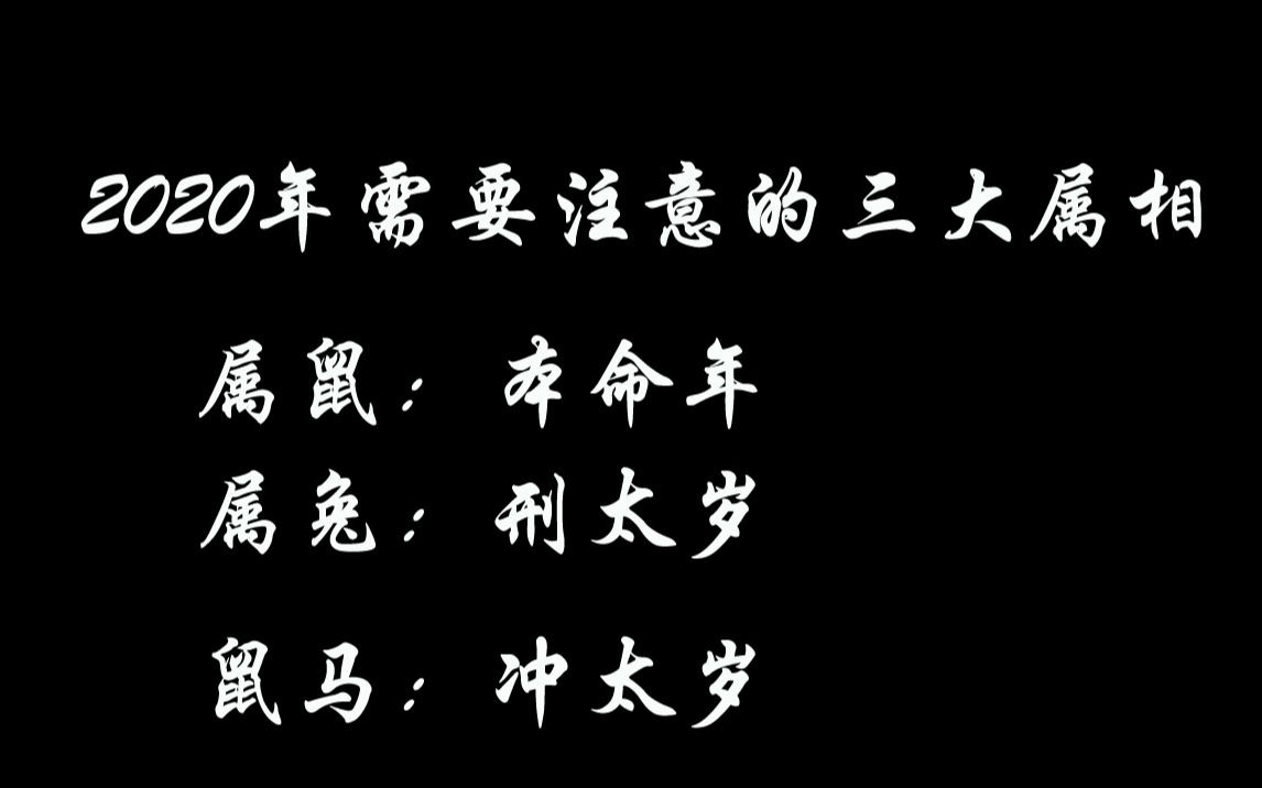 2020年需要注意的三大属相:属鼠,属兔,属马哔哩哔哩bilibili