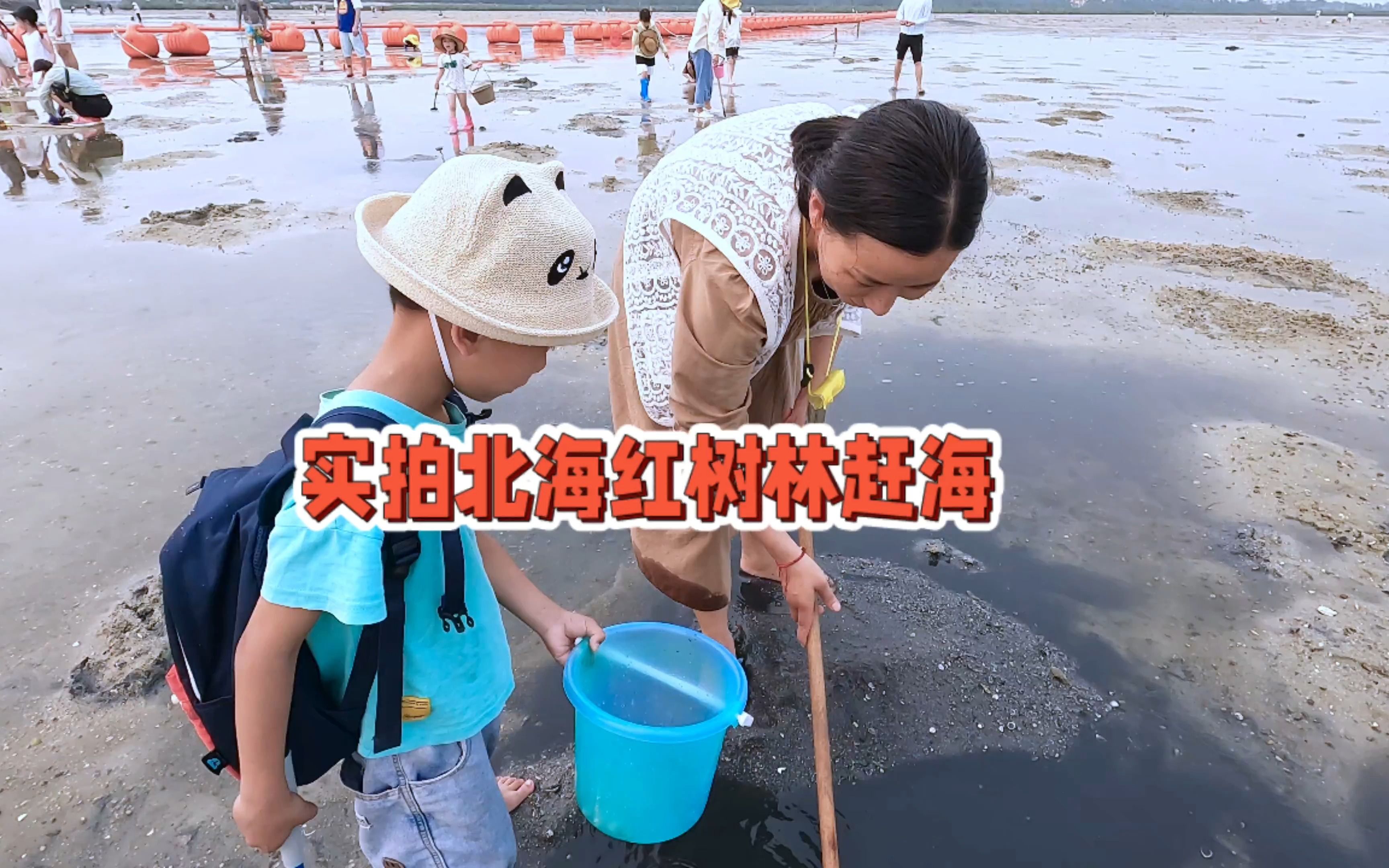 实拍北海红树林湿地公园赶海:退潮后带着孩子去抓螺,感受大自然