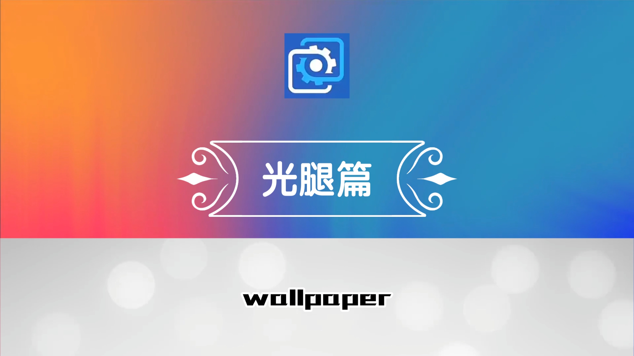 wallpaper壁纸推荐光腿篇哔哩哔哩bilibili