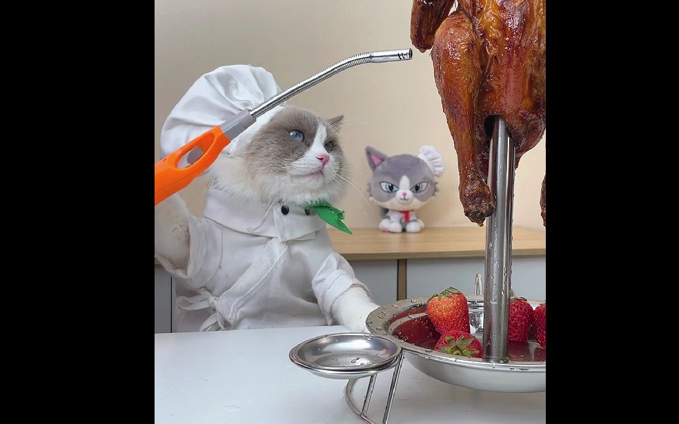 【喵大厨puff】谁来解答一下,再烤一遍是什么含义?#喵大厨puff