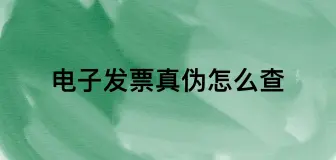 Download Video: 发票重复报销去哪里查？