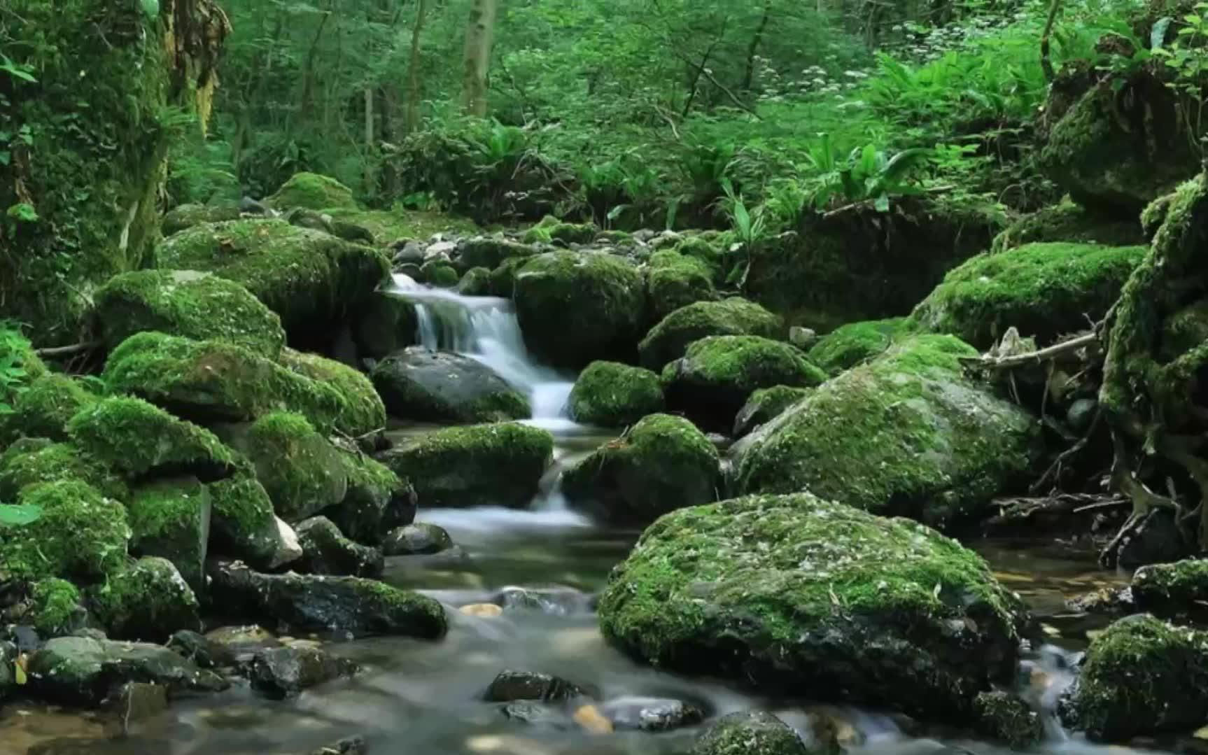 沈浪柳潇潇小说大结局沈浪柳潇潇小说结局是什么神级龙卫小说大结局哔哩哔哩bilibili