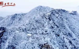 Download Video: 行走河南·读懂中国｜红衣素雪，在尧山，一步踏入银装素裹的雪中仙境。