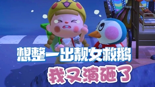 动森 世界第一可爱猛男 花寿司的日常 哔哩哔哩 つロ干杯 Bilibili