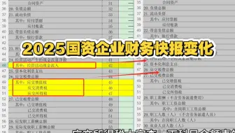总账会计小技能-2025年国资企业财务快报变化