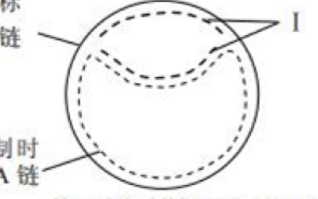 [图]【知识搬运1】原核生物DNA复制θ型复制thetar replication