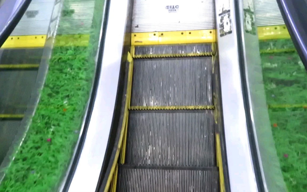 可爱西子奥的斯迷你扶梯