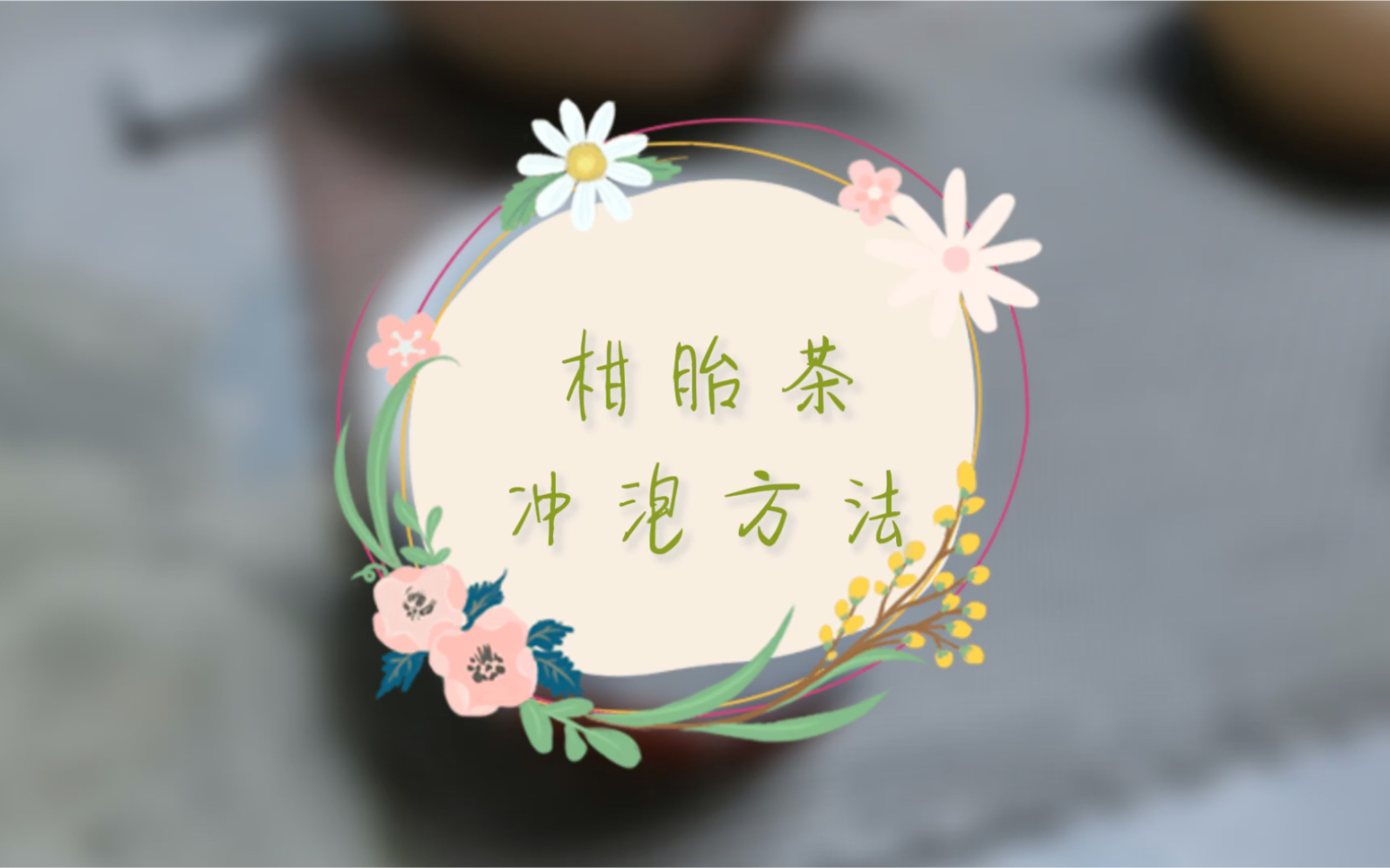 柑胎采摘的季节,广东妹子交你泡柑胎水哔哩哔哩bilibili