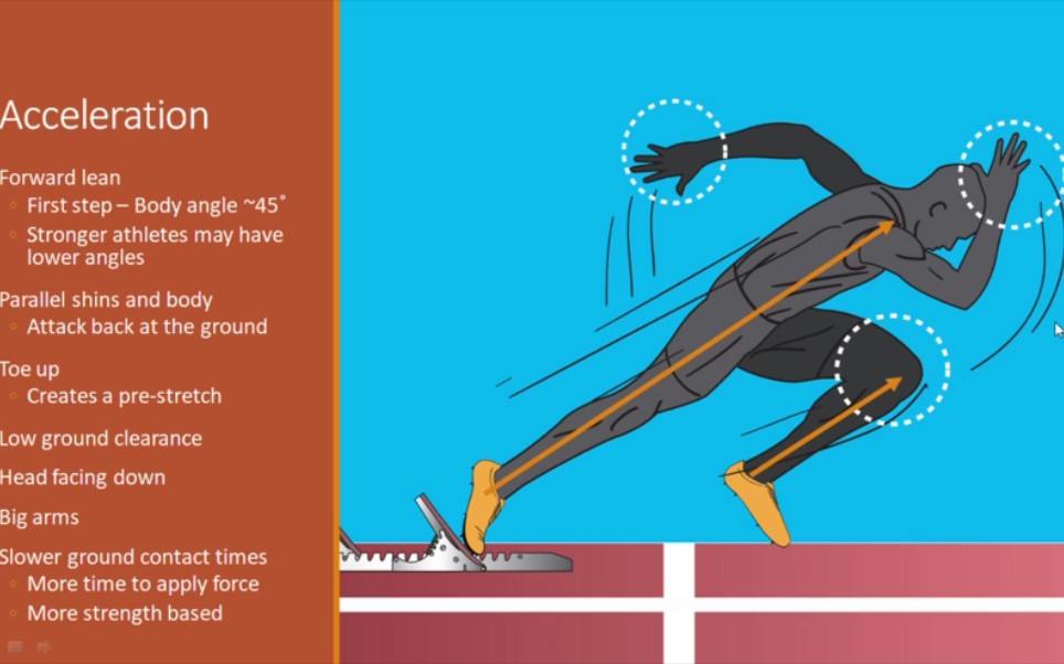 短跑加速与最大速度冲刺动作与技术的异同