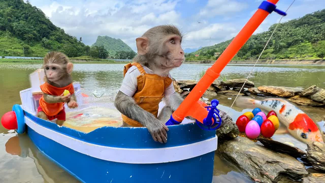 [图]猴猴钓锦鲤，锦鲤比猴大