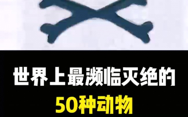 世界上最濒临灭绝的50种动物第三期哔哩哔哩bilibili