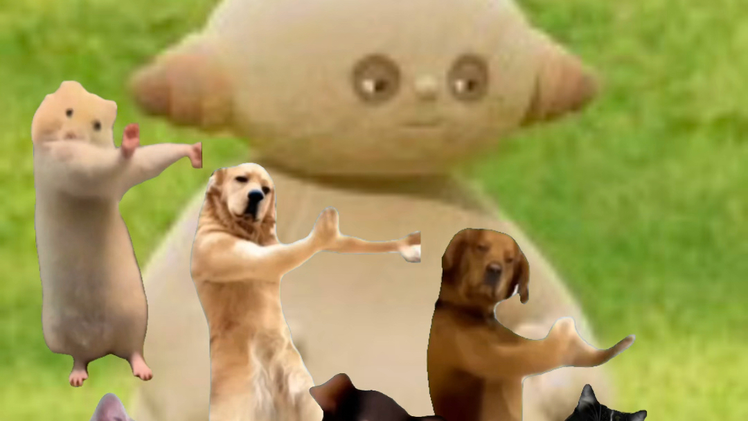 玛卡巴卡观看新舞蹈