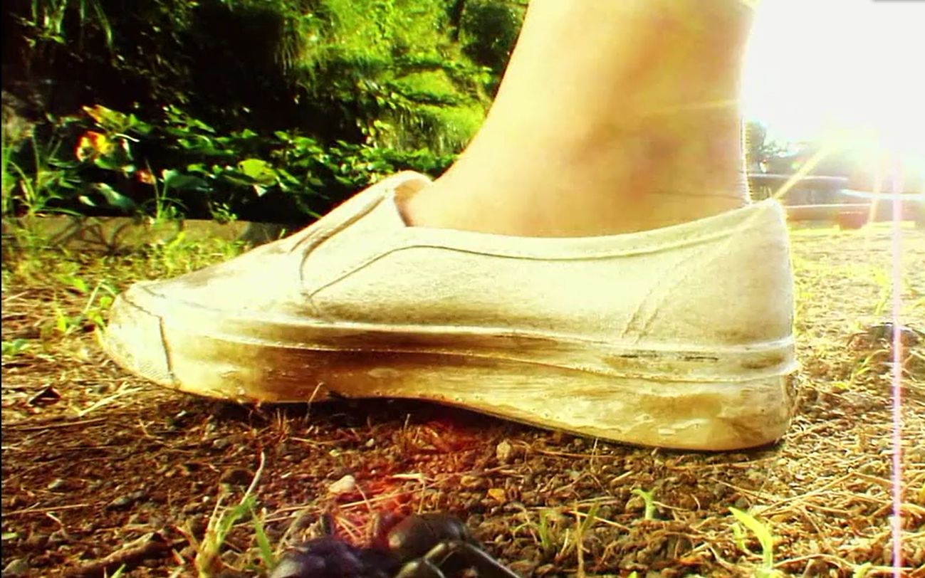 男子儿时踩死蚂蚁675次,死后只能做1只虫子,悲催了!