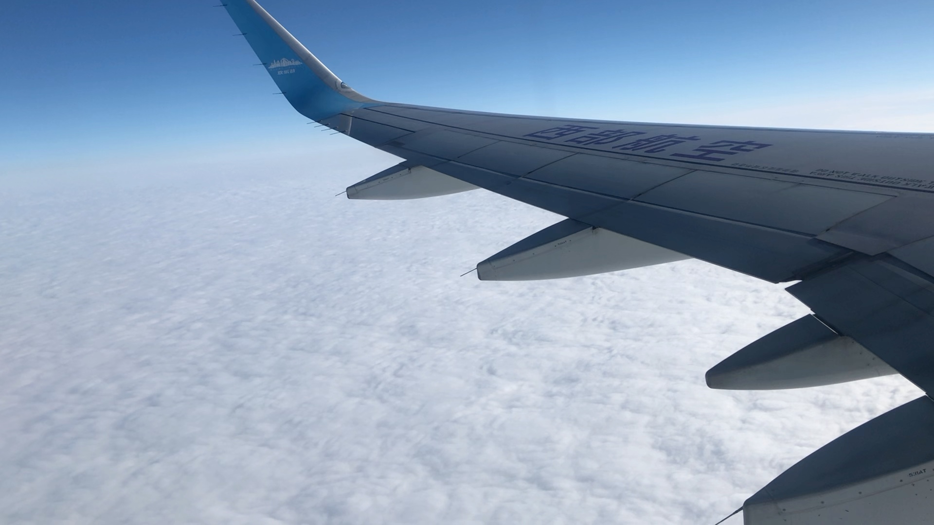 谣言大揭密:飞机是飞平流层吗?_哔哩哔哩_bilibili