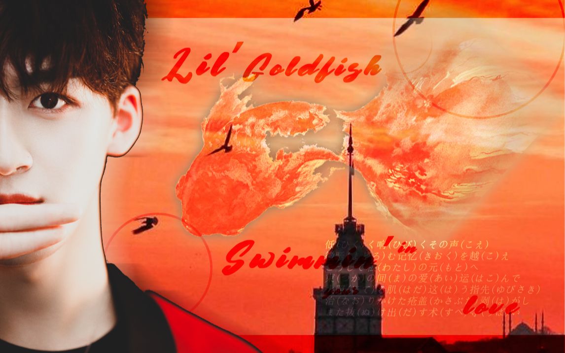 何洛洛舔颜混剪lilgoldfish浅海游弋