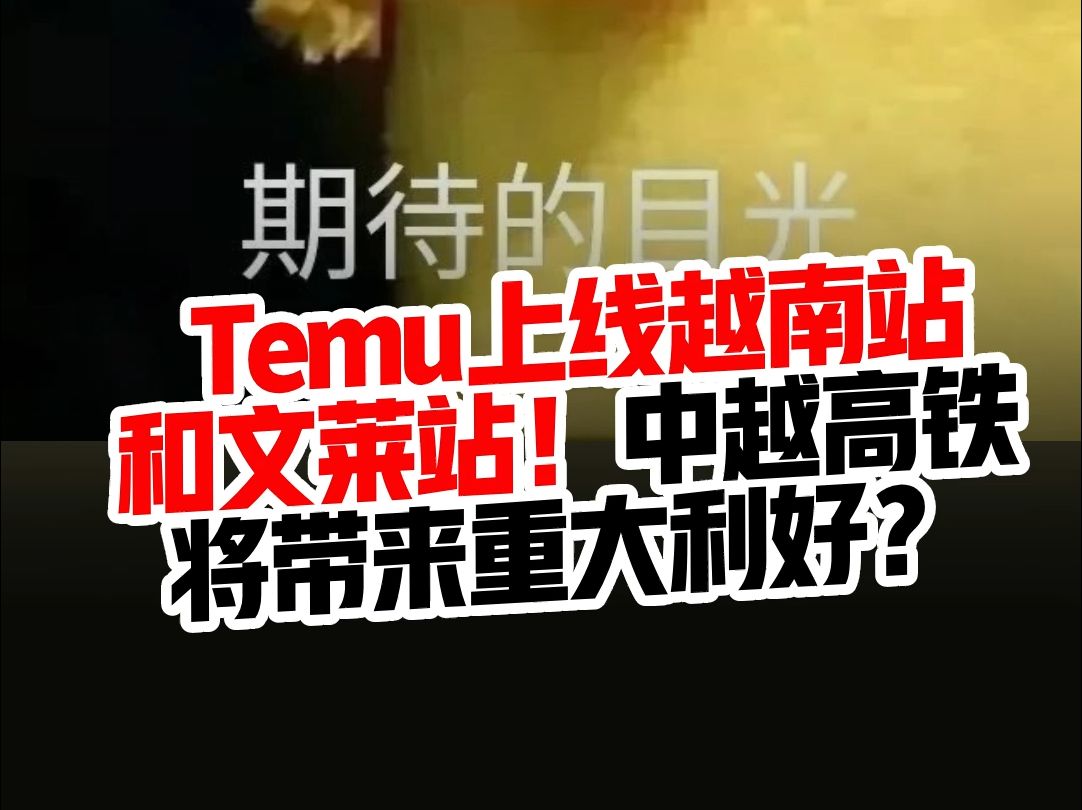 Temu上线越南站和文莱站!中越高铁将带来重大利好?哔哩哔哩bilibili