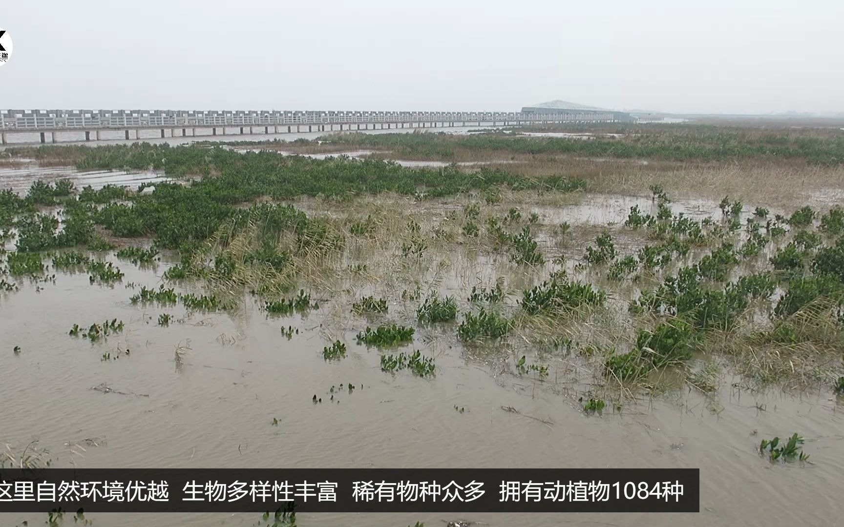 [图]中国十大最美湿地之一福州闽江河口国家湿珍稀园无缘邂逅珍稀鸟类