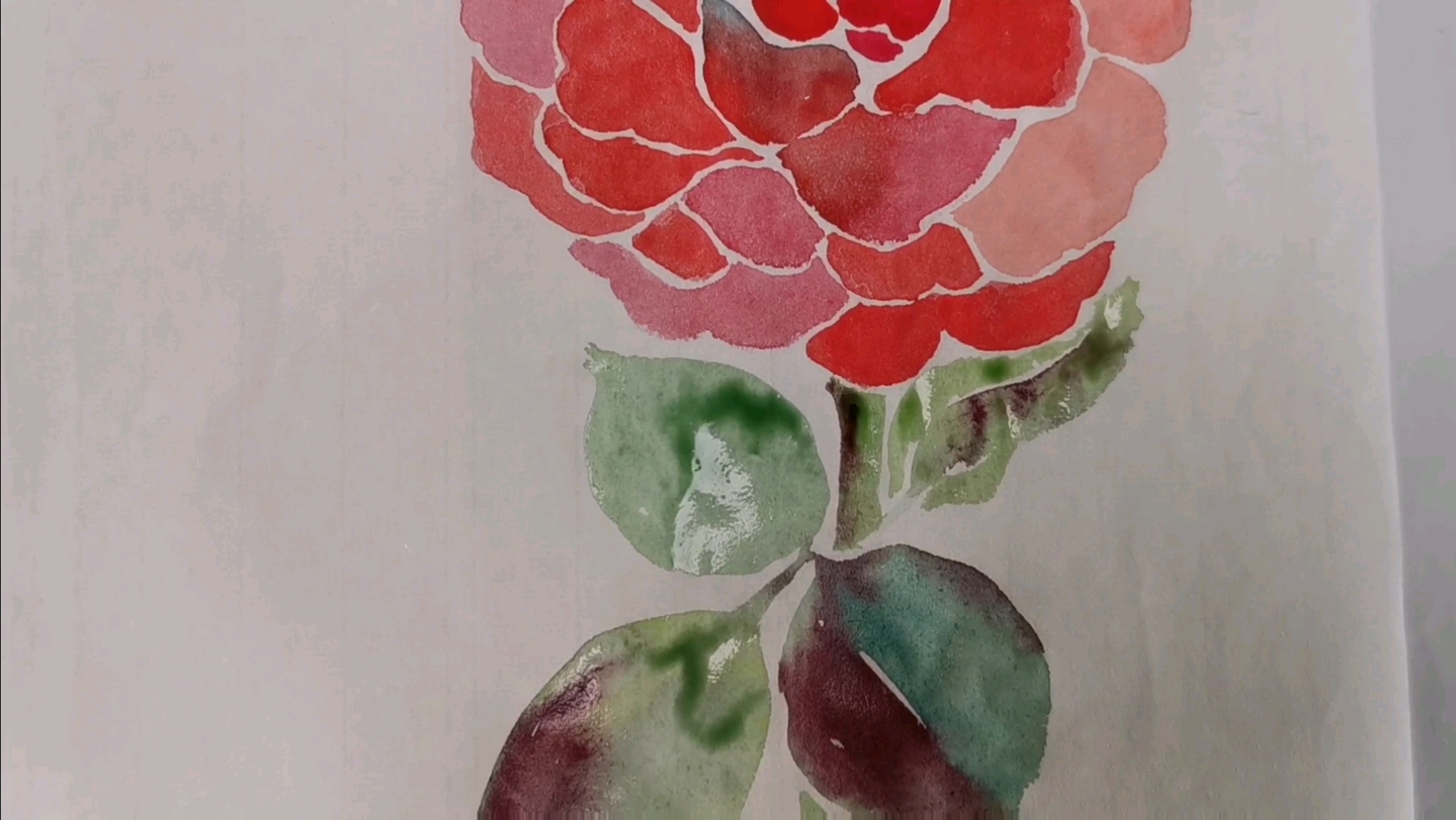 中国画/宣纸手绘/花类/月季