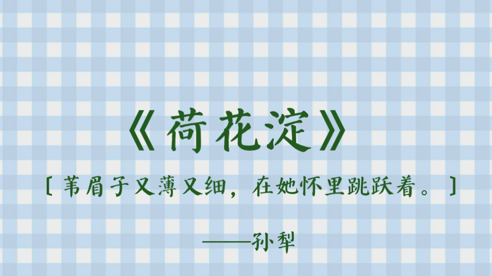 《荷花淀》孙犁‖苇眉子又薄又细,在她怀里跳跃着.哔哩哔哩bilibili