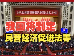 Video herunterladen: 我国将制定民营经济促进法等