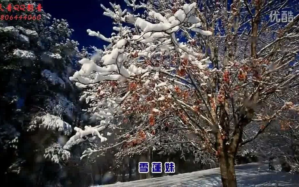 [图]雪莲妹达坡玛吉_超清