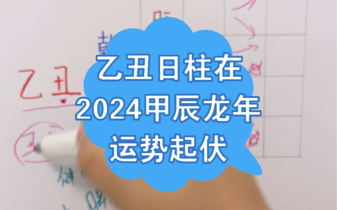 乙丑日柱在2024年甲辰龙年运势起伏解析哔哩哔哩bilibili