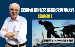 Download Video: 阳和平23#230 既要城镇化又要廉价劳动力？想的美！