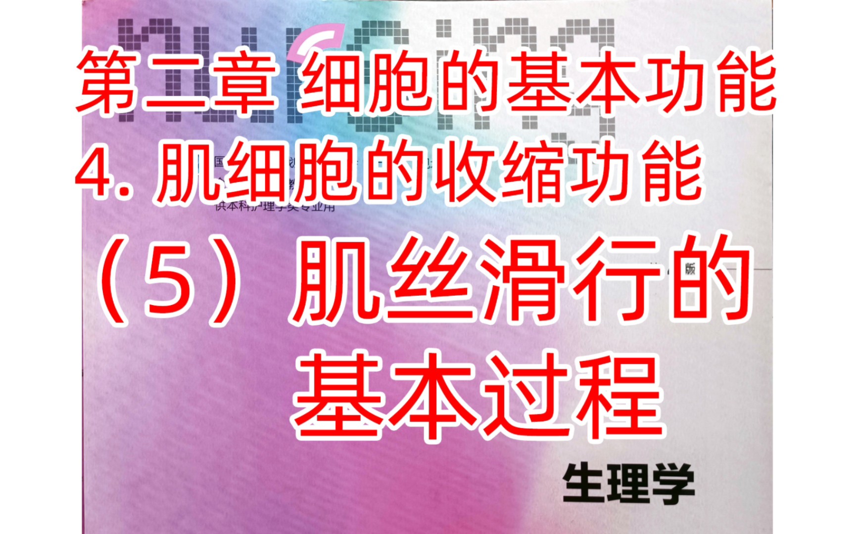 《生理学》细胞17肌丝滑行的基本过程哔哩哔哩bilibili