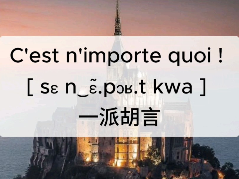 天天跟Bruno学法语口语 一派胡言哔哩哔哩bilibili