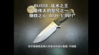 Download Video: BUSSE 最伟大的型号之一 战术之王 钢铁之心 ASH-1 INFI  仅开箱视频及照片欣赏分析设计数据 不销售