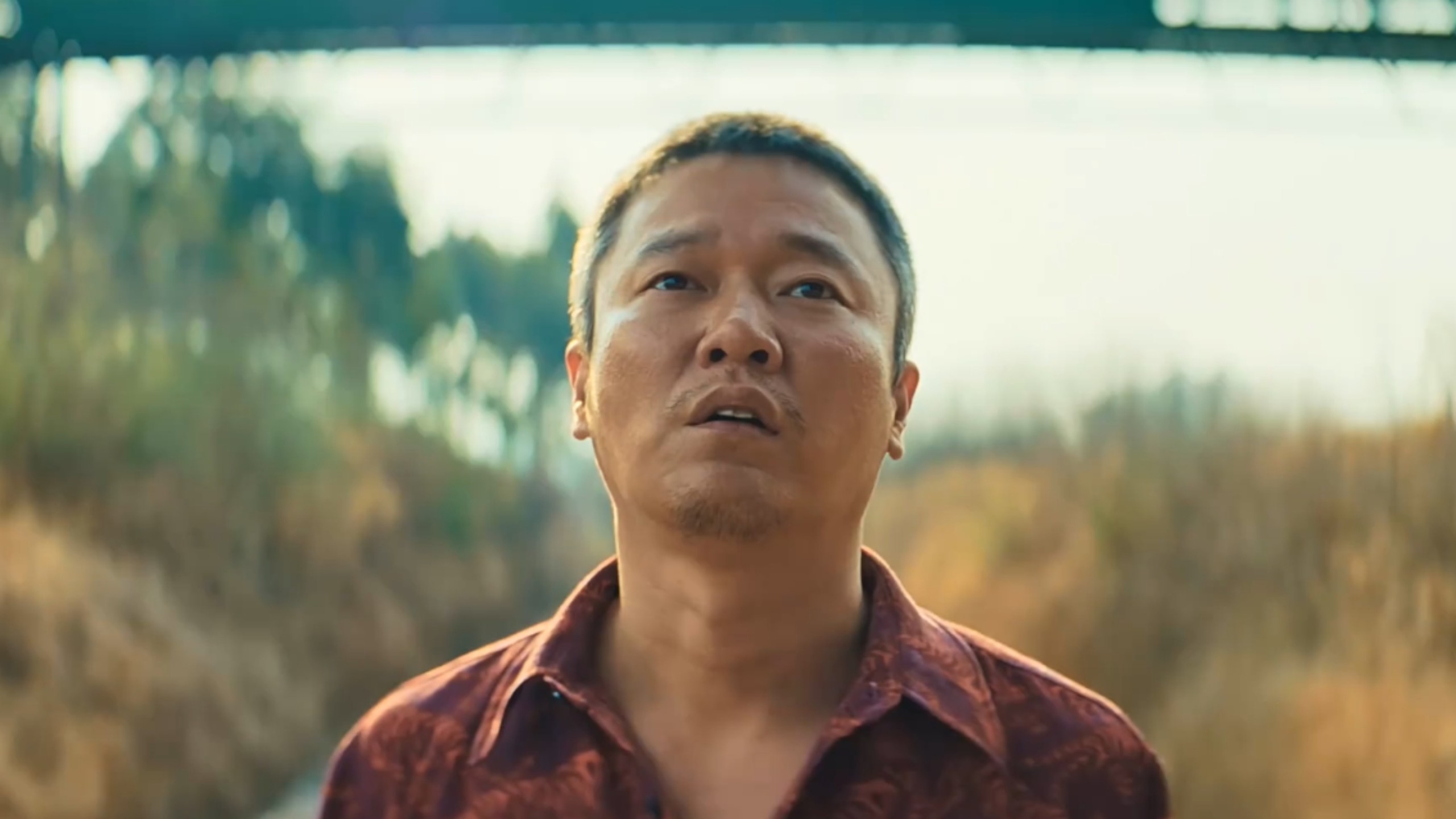 “孩子找到了，死了，这部电影唯一震撼的一幕，就是被拐孩子父亲知道孩子死了之后，从天桥上自杀，人贩子本来就应该与杀人同罪！”