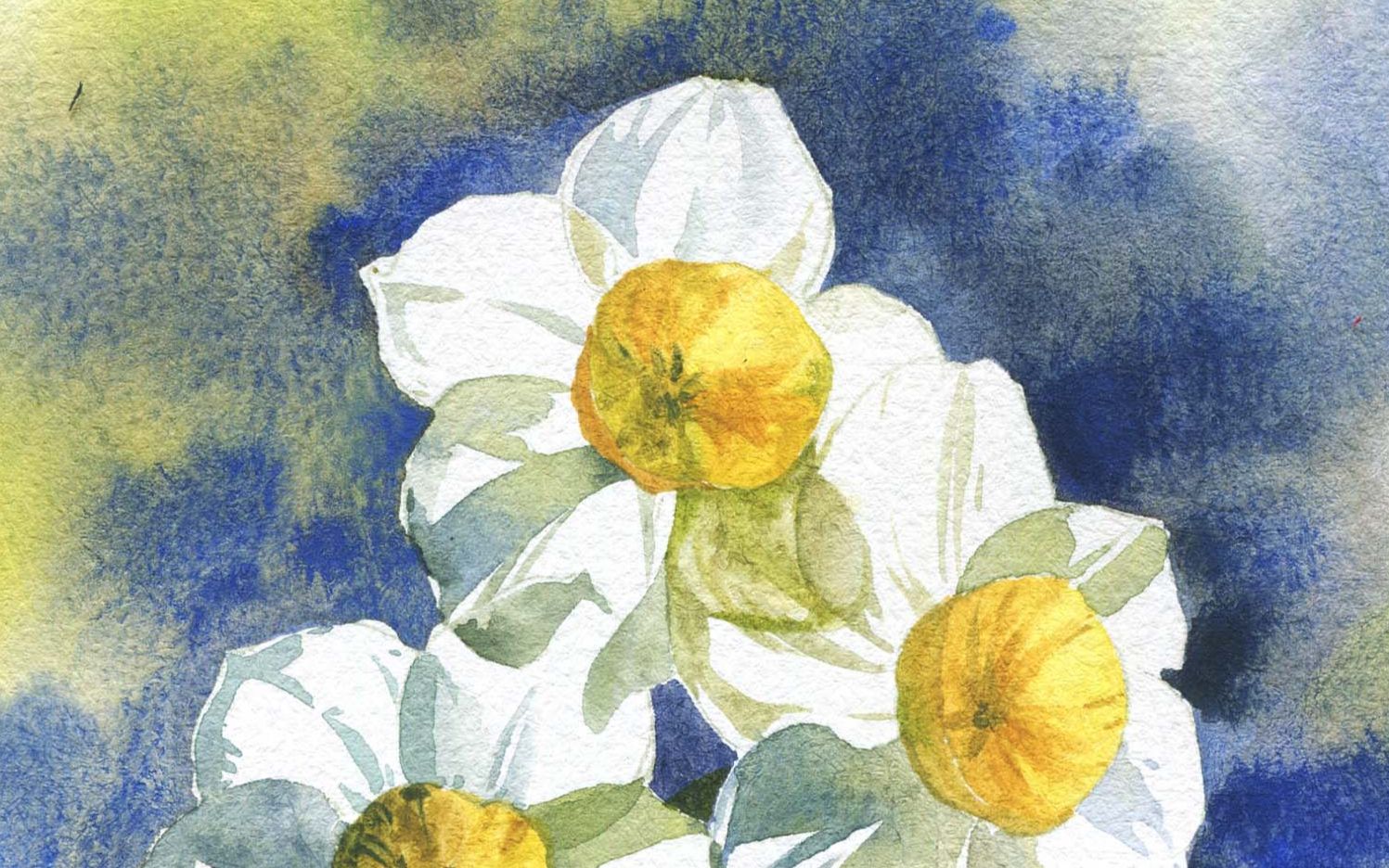 活动  直接留白 亮部表达 水仙花水彩画法分享