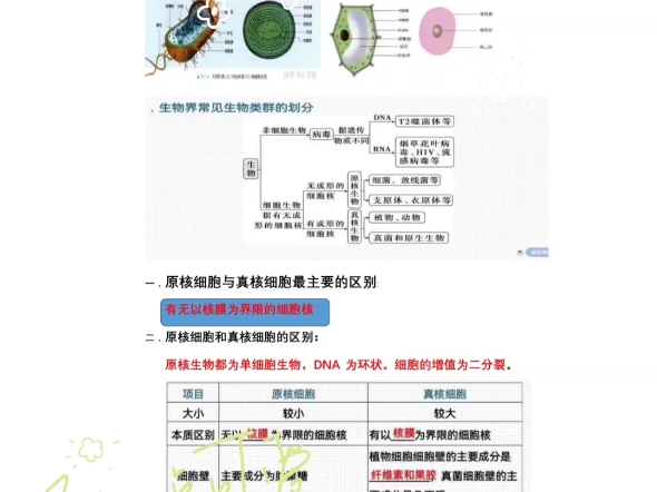 高中生物必修一(原核细胞和真核细胞)哔哩哔哩bilibili