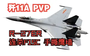 【DCS】J-11A 超音速泥头车创烂鹰墙 | R-27ER一发消灭一个米畜