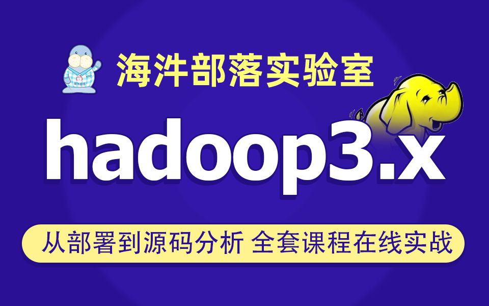 【海牛大数据】Hadoop教程(Hadoop3.x从部署到源码分析全套讲解)哔哩哔哩bilibili