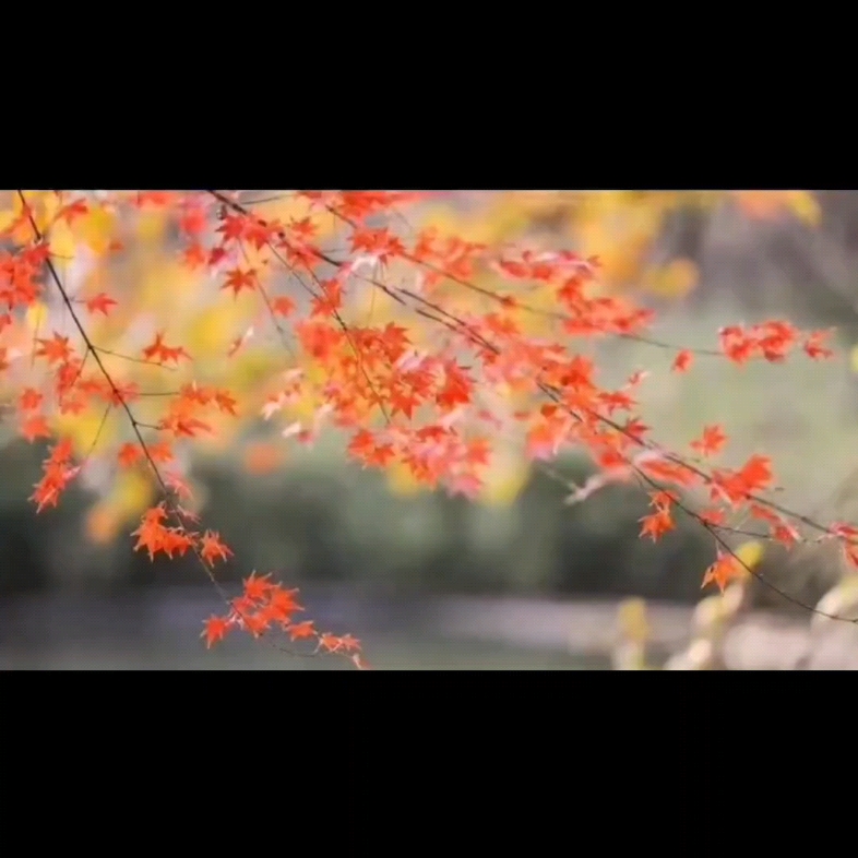 [图]【如歌】翻唱云朵演唱的歌曲《有生之恋》