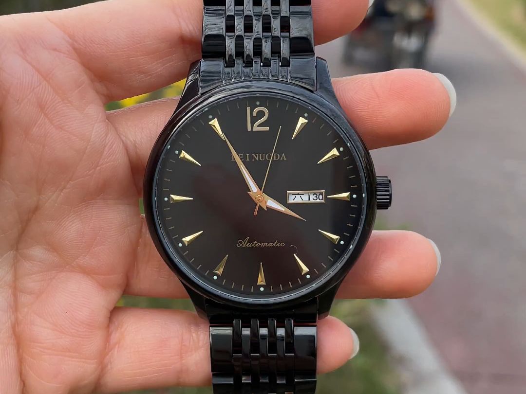 雷诺达手表时尚轻奢风全自动机械手表男士国产腕表男款 全黑面钢带3