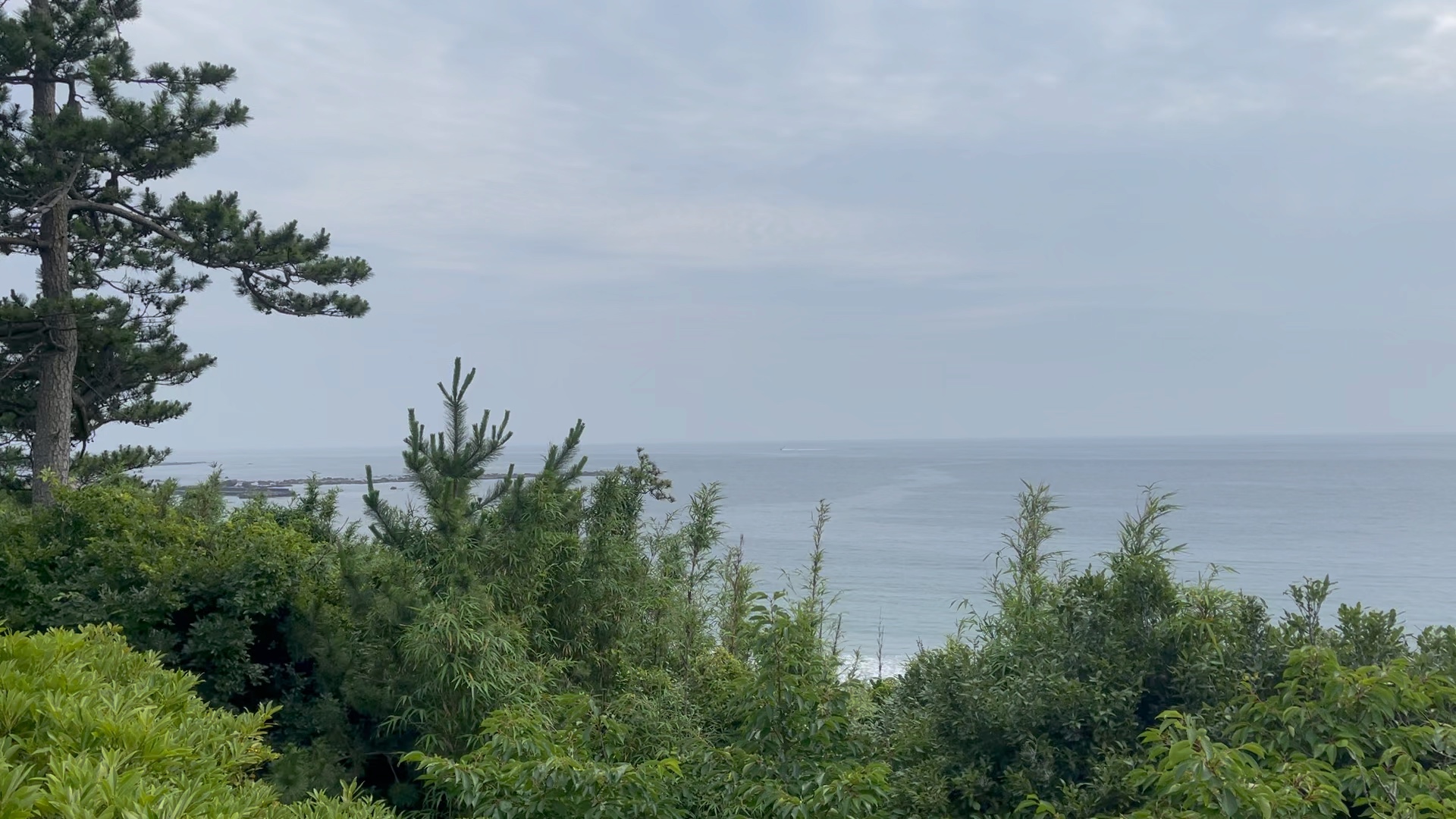 神奈川县逗子站附近的海