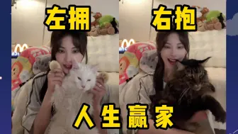 Download Video: 小脏猫财财 变乖了一点点 | 抱抱莱恩 安全感满满 | 是谁年纪轻轻就拥有了两只猫呀