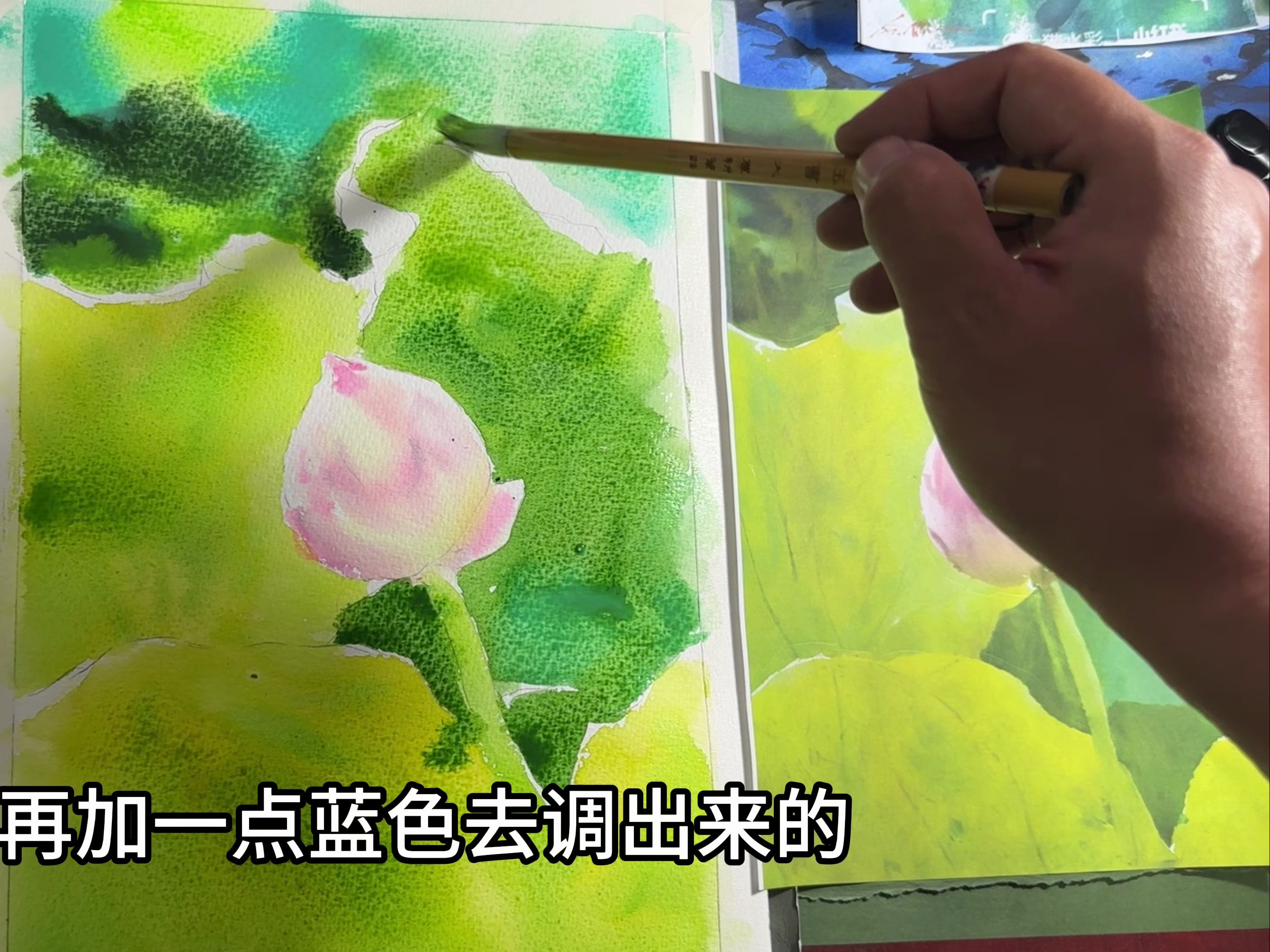 大明湖荷花绘画图片