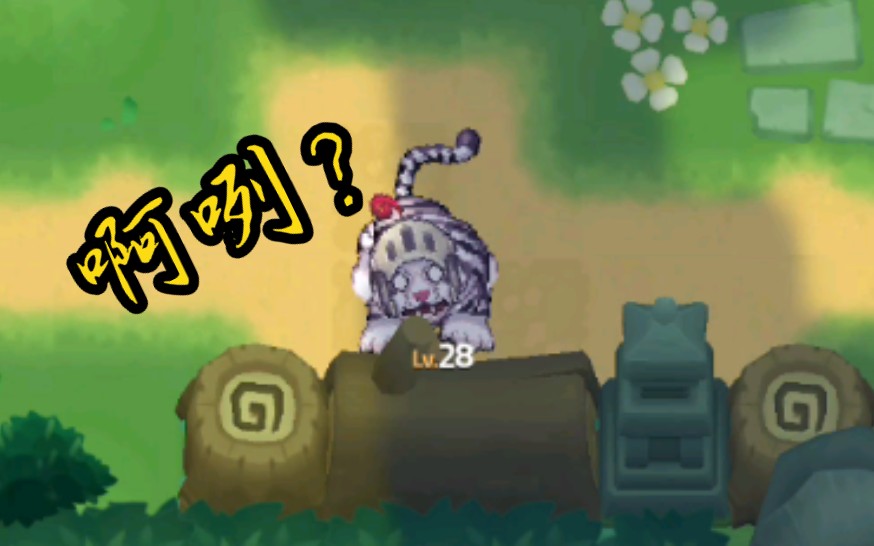 不亏是蠢脸骑士变成老虎还是那么憨